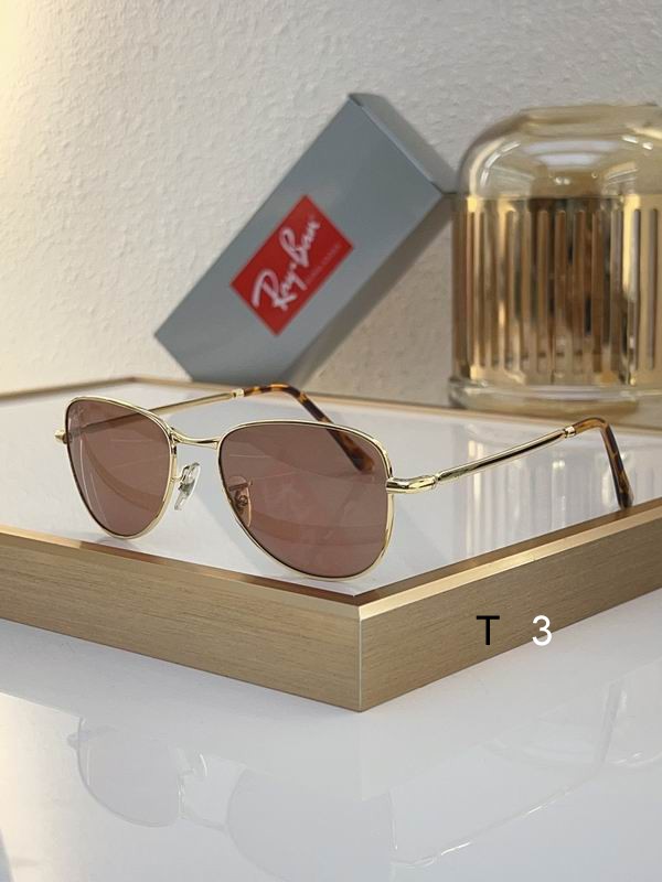 RayBan Sunglasses ID:20240804-462